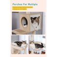 thumbnail image 4 of PETEPELA 56.7" Cat Tree with Litter Box Enclosure Large, Wood Cat Tower for Indoor Cats with Storage Cabinet and Cozy Cat Condo, Sisal Covered Scratching Post and Repalcable Dangling Balls, Beige, 4 of 14