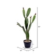 thumbnail image 2 of Vickerman FE191434 34 in. Green Potted Cactus Plastic Planter Pot, 2 of 3
