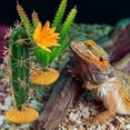thumbnail image 4 of HUGFEGWE 2Pcs Creative Desert Artificial Plant Decor Realistic Plastic Reptile Succulent Plants for Bearded Dragon Lizard Chameleon Tank Accessories Amphibian Sandstone Succulent Terrarium CJ-113709, 4 of 8