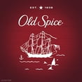 thumbnail image 5 of Old Spice Classic Deodorant Stick, Original Scent for Men (Pack of 32), 5 of 5