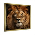 thumbnail image 2 of Designart "Majestic Lion in Brown Portrait II" Animals Framed Wall Art Decor - Modern Brown Lion Bedroom Framed Canvas Wall Art, 2 of 6