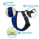 thumbnail image 5 of Arnés para perros Gooby Comfort X Head en negro para perros medianos, 5 of 6
