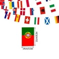 thumbnail image 4 of 24 team flags in 2024, 4 of 8