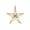Multicolor, variant on 2026 Christmas Home Party Decoration Gold Silver Red 8 Pointed Star Plastic Christmas Ornaments 5 Pointed Star Hanging Decorations For Christmas Tree Garland Holiday Festive Decor