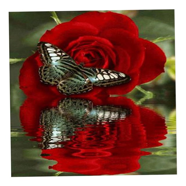 Kit de bordado de pintura de diamante 5D DIY Imagen de de imitación hecha a mano - Lakeshore, Mariposa 30x40cm Zulema Pintura diamante bricolaje
