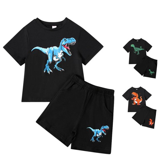 HCYSFG Boys Dinosaur Graphic Outfit Sets 2 Piece T Shirt And Shorts Clothing Sets Crewneck Short Sleeve Elastic Waist Matching Sets