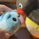 thumbnail image 5 of Plush Doll Cute Penguin Tabletop Ornament Plush Doll Toy Figurine Child Birthday Gift Decoration, 5 of 5