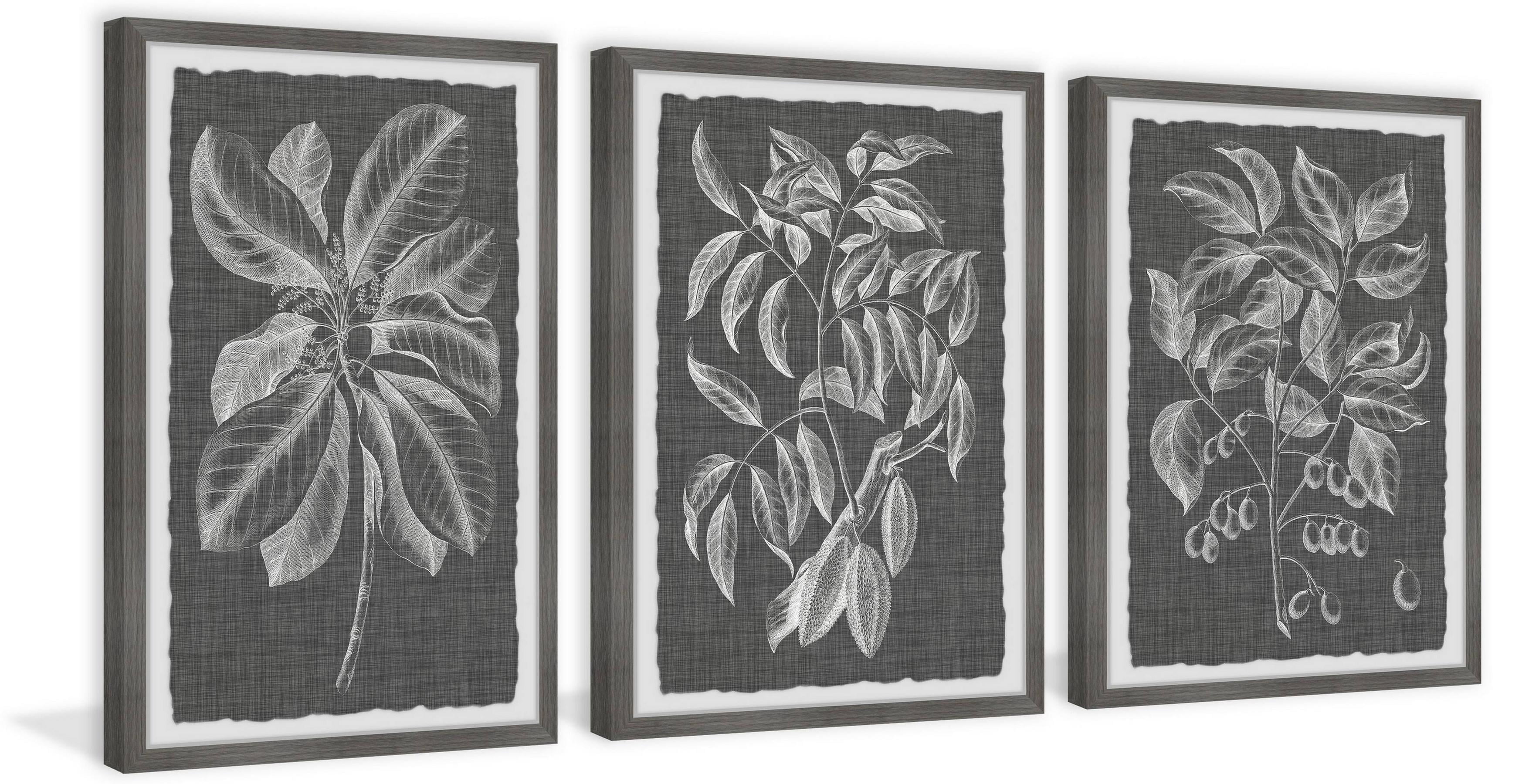 Marmont Hill Graphic Foliage VI Triptych