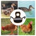 thumbnail image 3 of Chicken Saddles Poultry Aprons with Elastic Bands Chick Protectors (Pink), 3 of 4