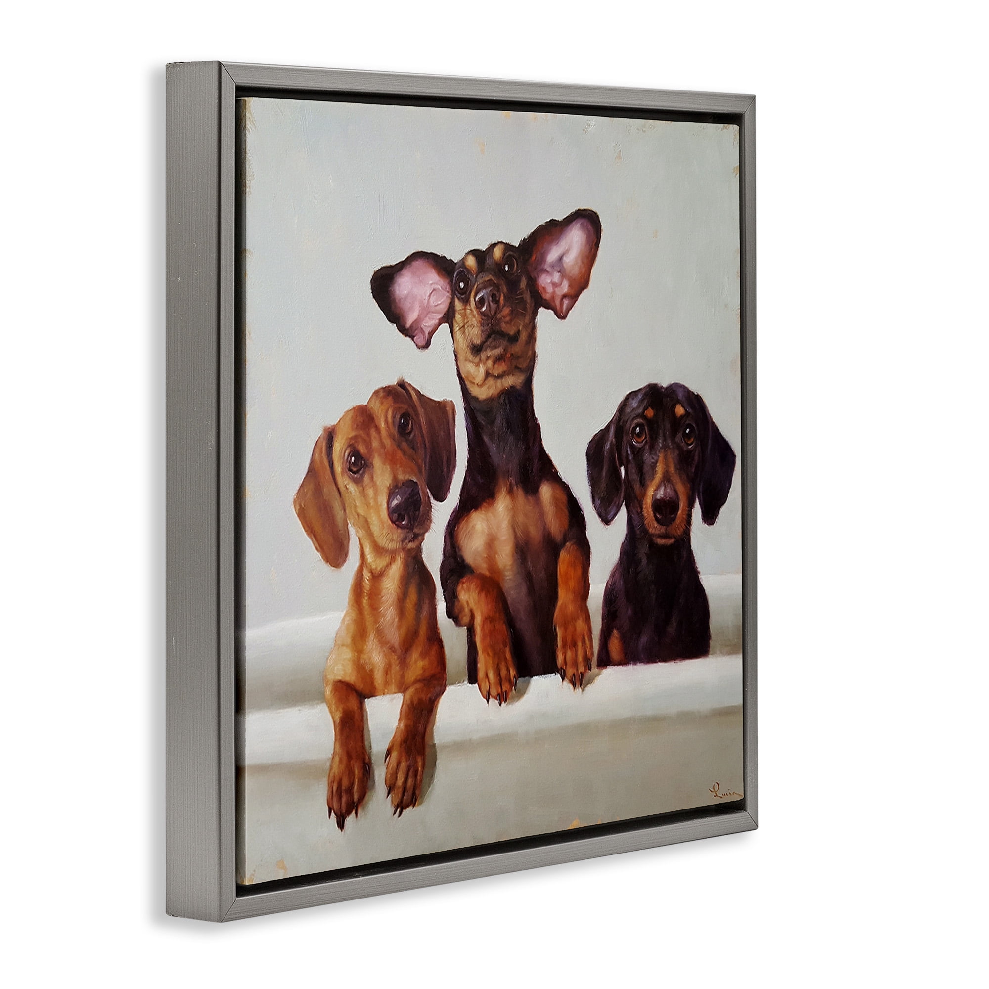 Stupell Industries Dachshunds in Bathtub Animals & Insects Painting Gray Floater Framed Canvas Art Print Wall Art, 25 x 25