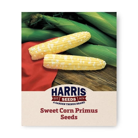 Harris Seeds Primus F1 Sweet Corn Seeds, TripleSweet Type, Bicolor Ears, 1,000 Count