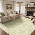 thumbnail image 2 of DEORAB 5x7 Area Rugs Persian Light Green Low Pile Lightweight Machine Washable Non Slip Rug for Living Room, Bedroom, Dining Room, Home Office, 2 of 8
