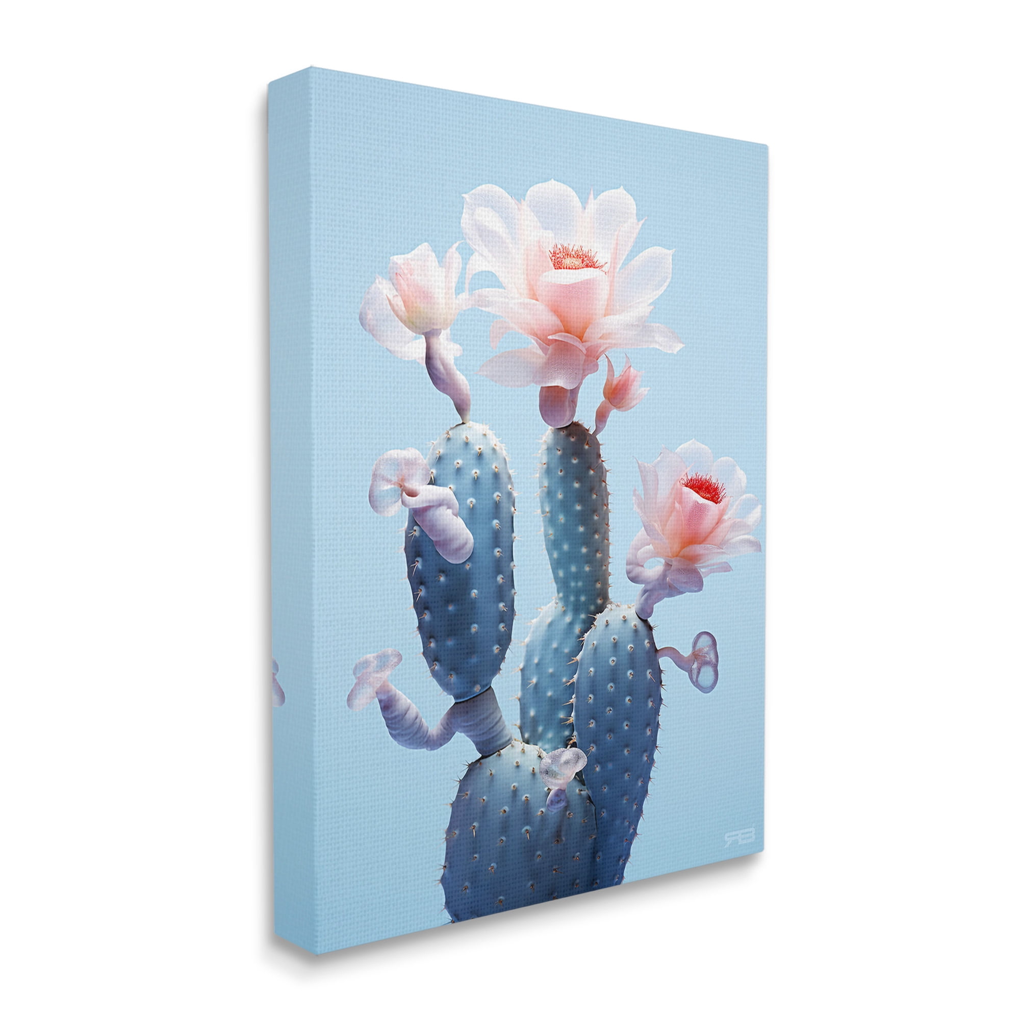 Stupell Industries Southwestern Pink Blooms Botanical & Floral Painting Gallery Wrapped Canvas Art Print Wall Art, 30 x 40