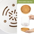 thumbnail image 4 of QCQHDU 2 Pack Plant Pot, 5 in White Plastic Indoor Planter with Drainage Holes And Removable Base, 4 of 7
