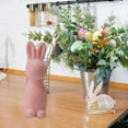 thumbnail image 4 of Fozruso Easter Flocked Bunny Desktop Decor, 7.48 Inch, Pink,Best Way Together To Celebrate, 4 of 5