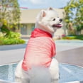 thumbnail image 6 of Pet Mesh Vest, Breathable Sleeveless Tank Top for Summer, UV Protection & Comfort for Dogs & Cats of All Sizes in Hot Weather., 6 of 7