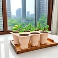 thumbnail image 3 of 2 Pack Silicone Seed Starter Tray, 6 Large Cells Reusable Microgreens Growing Trays Bonsai Plant Starter Kit Flexible Seedling Germination Cup for Indoor Plant Propagation, Beige, 3 of 8