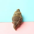 thumbnail image 4 of Copper Crocodile Figurine, Handcrafted Adorable Chubby Brass Alligator Statue – Exquisite Decorative Sculpture for Home, Office Desk, Shelf & Garden Display(1pcs-L), 4 of 6