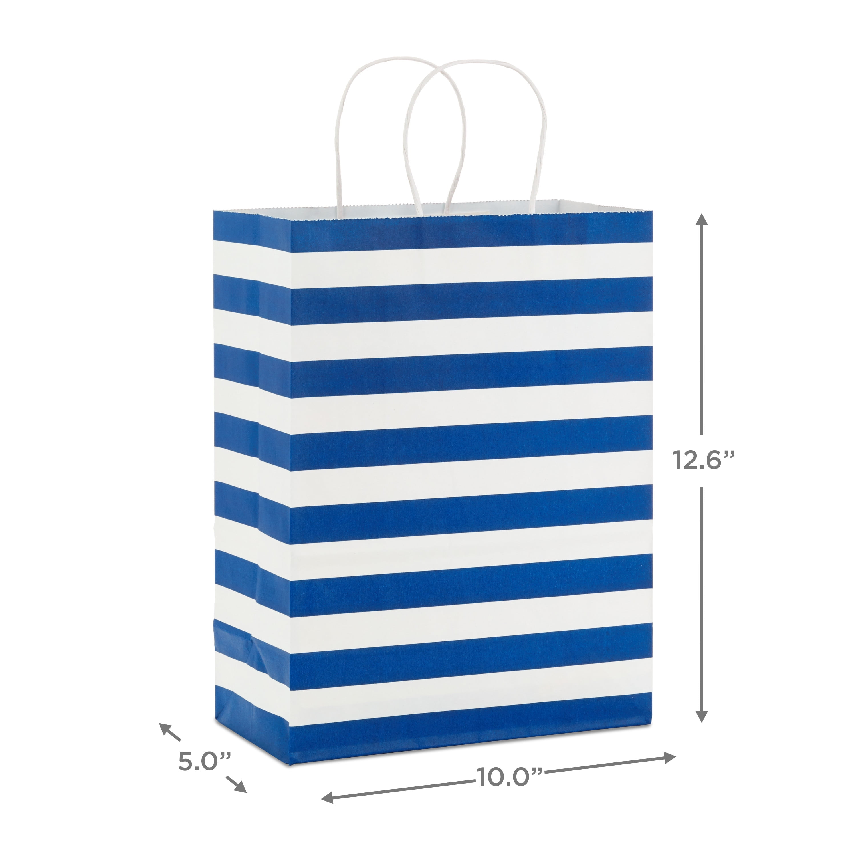 Hallmark Large Gift Bag (Blue and White Stripes)