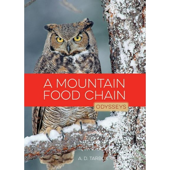 A Mountain Food Chain
