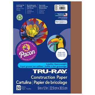 Pacon Poster Board 5-Sheet Pack, 11 x 15, Assorted Fluorescent
