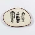 thumbnail image 1 of Feathers Printed on Tree Trunk Wall Decor, 1 of 5
