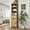 Brown, variant on SONGMY Rattan Bathroom Cabinet, Farmhouse Storage Cabinet with Adjustable Shelves & Drawer, Tall Narrow Cabinet for Bathroom, Kitchen, Living Room, Brown