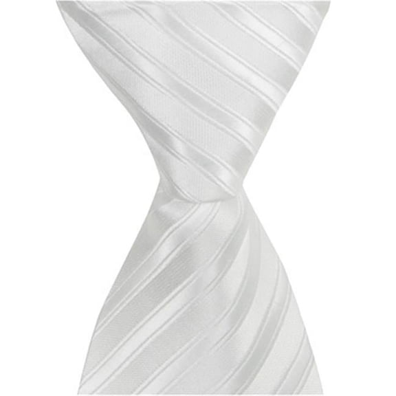 Matching Tie Guy 4250 W2 - 9.5 in. Zipper Necktie - White- 6 to 18 Month