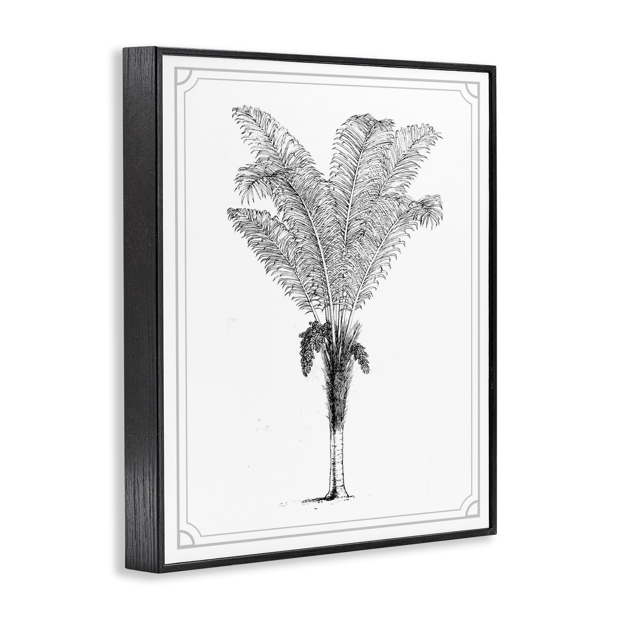 Vintage & Minimal Palm Black Framed Giclee Art, design by Lettered and Lined
