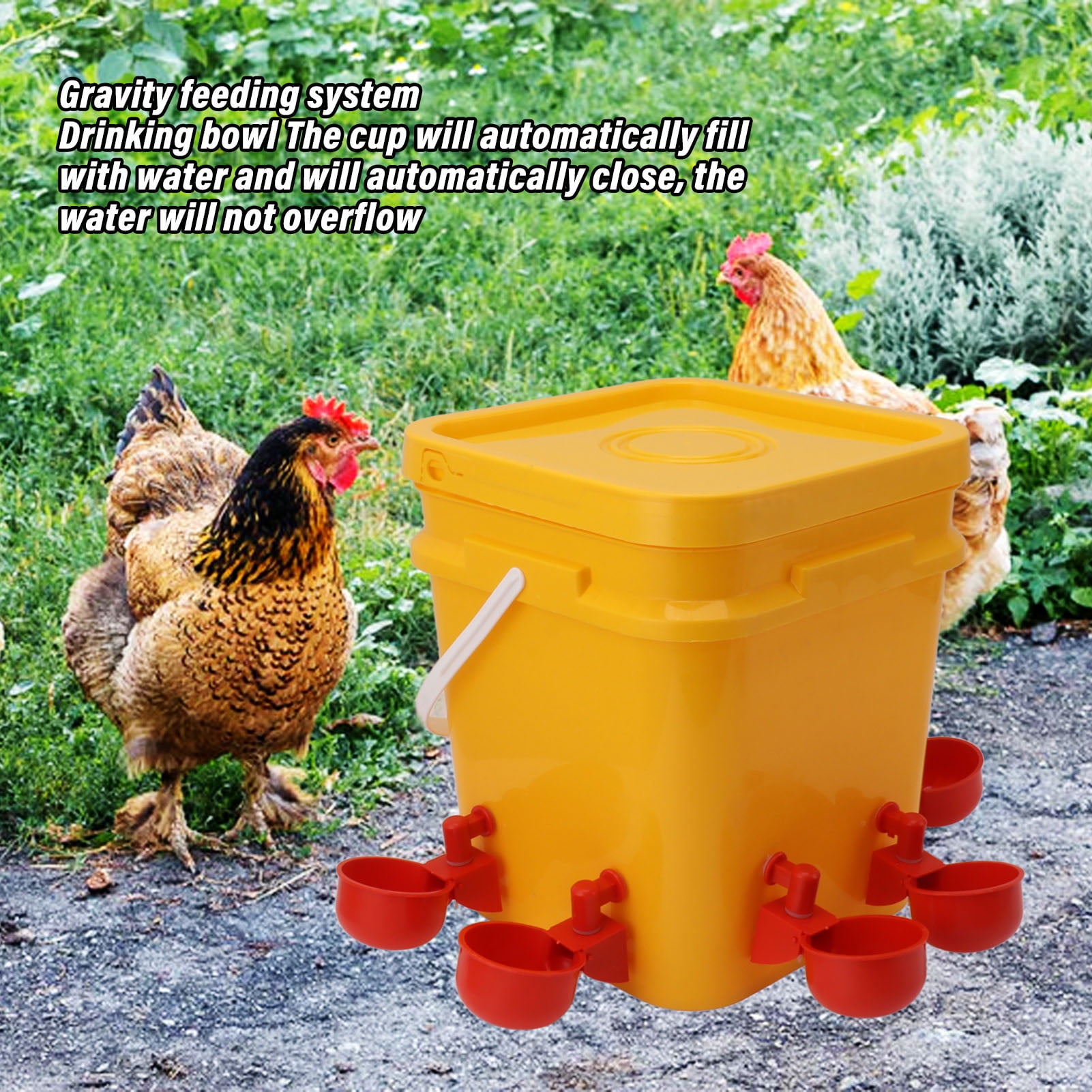 Distributeur Automatique De Nourriture Pour Oiseaux - Pour Cailles, Perruches, Poules, 2 Tailles, Acrylique/bois - 9