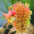 thumbnail image 2 of Decorative Fish Tank Decor Delicate Fake Plant Desktop Aquarium Plant Aquarium Accessory, 2 of 9