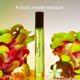 thumbnail image 2 of Perfume PHLUR Mood Ring Eau de Parfum, 9,5 ml, para mujeres y hombres, 2 of 6