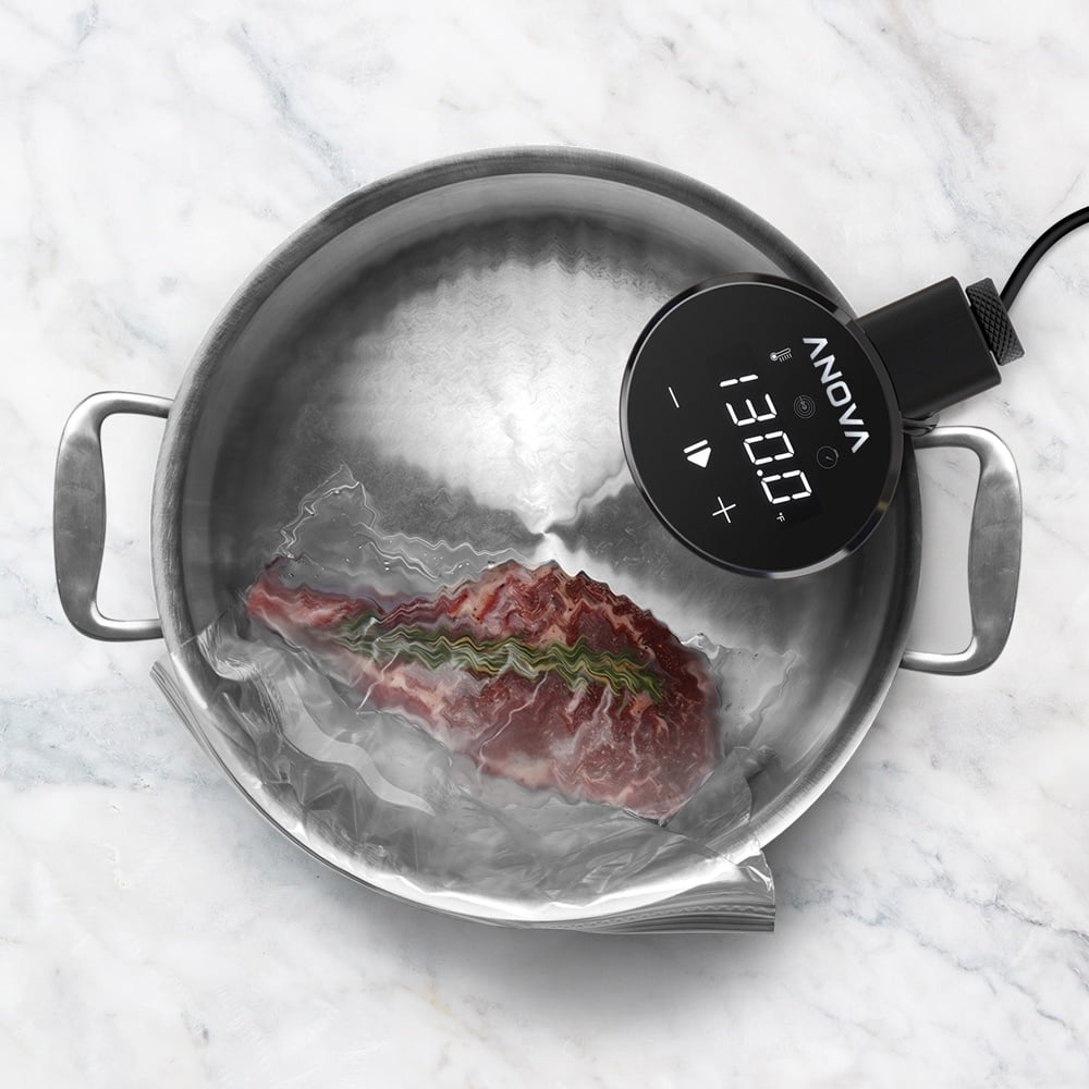 Anova Culinary Nano Sous Vide Bluetooth Precision Cooker for sale online 