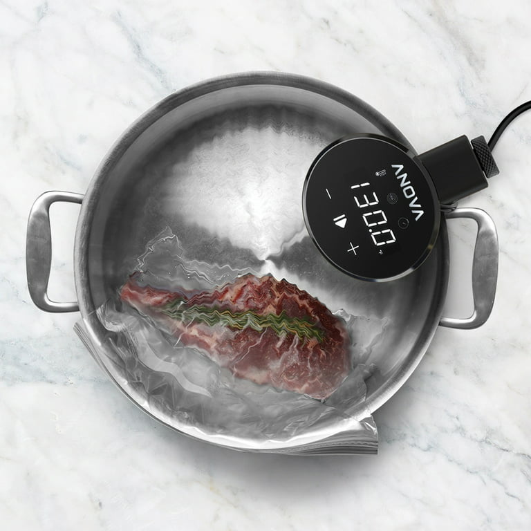 Anova Culinary Sous Vide Nano Precision Cooker, Bluetooth, 750W