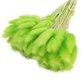 thumbnail image 4 of Ounissouiy 60 unidades/juego de oficina, Hotel, dormitorio, flor seca portátil, ceremonia de boda, fiesta, banquete, césped, accesorios de Verde 10piezas, 4 of 6