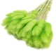 thumbnail image 4 of Naiovety 60 unidades/juego de flores secas para oficina, Hotel, sala de estar, boda, ceremonia, fiesta, banquete, hierbas, accesorios, Verde 10piezas, 4 of 6