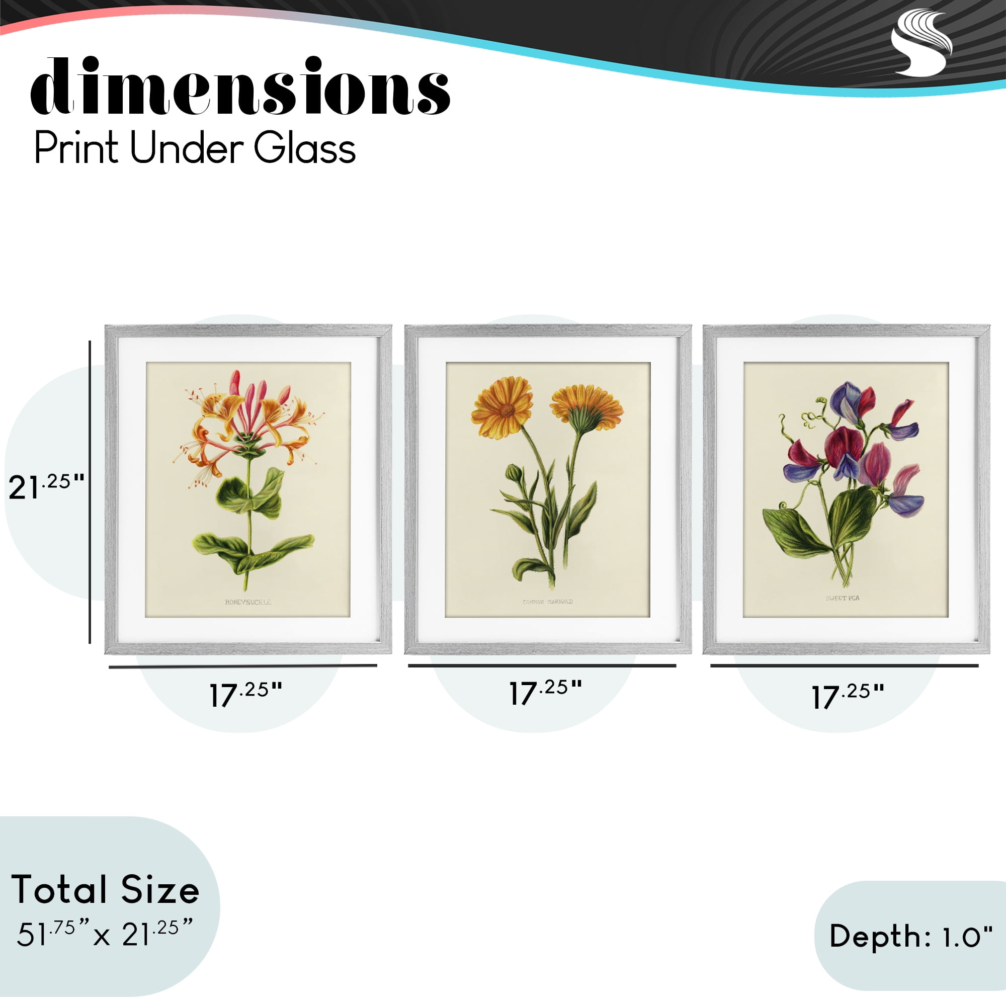 Stupell Industries Flowering Plants Vintage Illustration 3 Piece Gray Framed Print Under Glass Set, design by Connie Resch