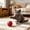 Orange, variant on Interactive Automatic Rolling Cat Toy – Smart Electrical Moving Ball with Random Motion, USB Rechargeable, Soft Silicone Casing & Long Battery for Boredom Relief,Light Blue