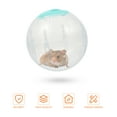 thumbnail image 2 of MasteelfCA 2 Pcs Balles d'Exercice pour Hamster, Balles de Course pour Petits Animaux, Accessoires de Course pour Hamster, 2 of 8