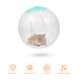 thumbnail image 2 of 2 pelotas de ejercicio para hámster, pelotas para correr para animales pequeños, suministros para mascotas, accesorios para correr para hámster., 2 of 6