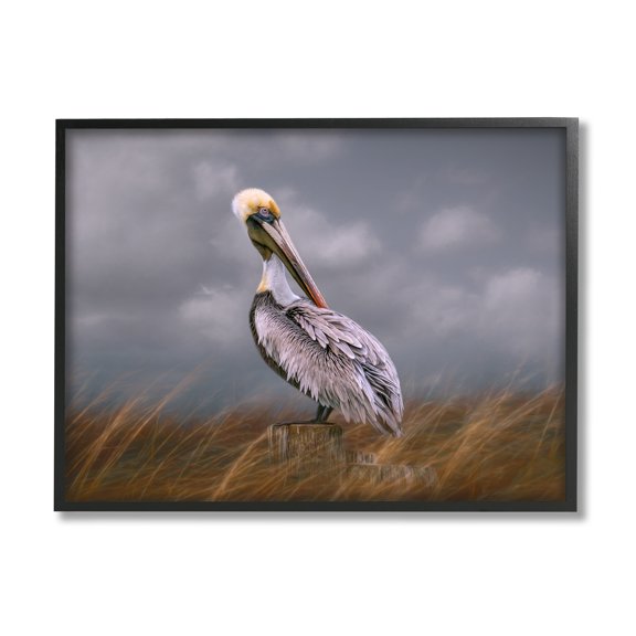 Stupell Wildlife Pelican Bird Cloudy Sky Animals & Insects Photography Black Framed Art Print Wall Art