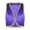 Purple, variant on Kids Boys Arabian Prince Vest Fairytale Fancy Dress Up Theme Party Waistcoat Blazer Top Red 6
