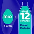 thumbnail image 5 of Mio Hydrate Berry Blast Flavored with Other Natural Flavor Liquid Water Enhancer, 1.62 fl oz Bottle, Pack of 5, 5 of 6