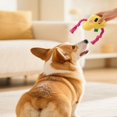 Resitance Dog Rope Yihuala Chew Resistant Pet Rope Bone With Benefits Squeaker Sound For ...