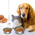 thumbnail image 2 of Set de Tazones de Acero Inoxidable TEZXSAEW Gris 18CM para Comida o Agua para Perros y Gatos, 2 of 7