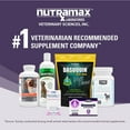 thumbnail image 2 of Denamarin Tablets with S-Adenosylmethionine (SAMe) & Silybin for Large Dogs 30ct (Bottle), 2 of 5