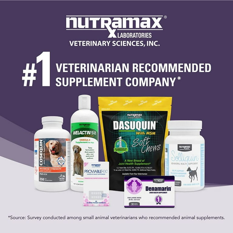 Nutramax Denamarin Tablets for Large Dogs Liver Support SAMe