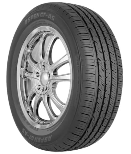 Aspen GT AS P195/65R15 89H Tire