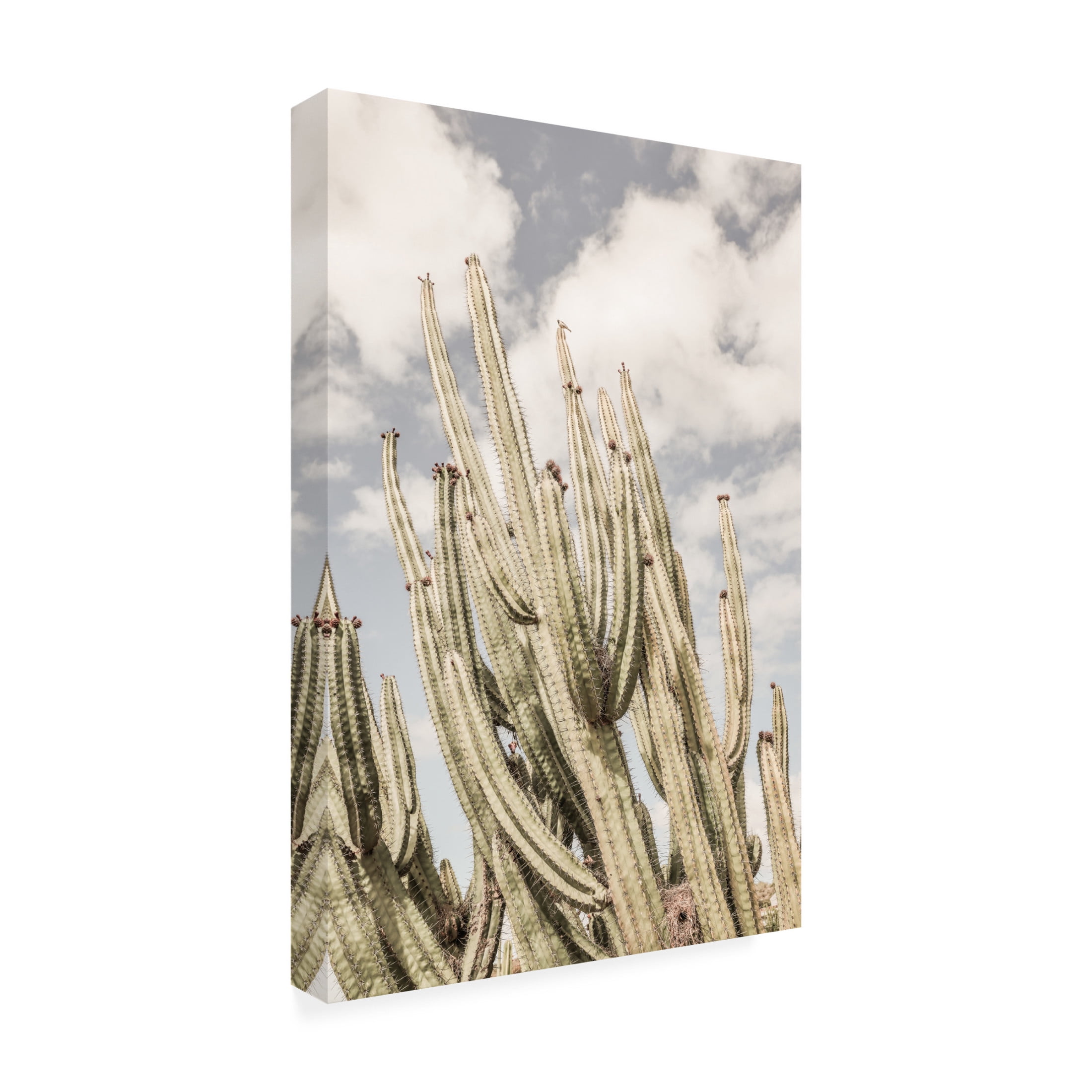 Trademark Fine Art Shot by Clint Desert Cathedral Canvas Wall Art