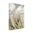 thumbnail image 4 of Trademark Fine Art Shot by Clint Desert Cathedral Canvas Wall Art, 4 of 4